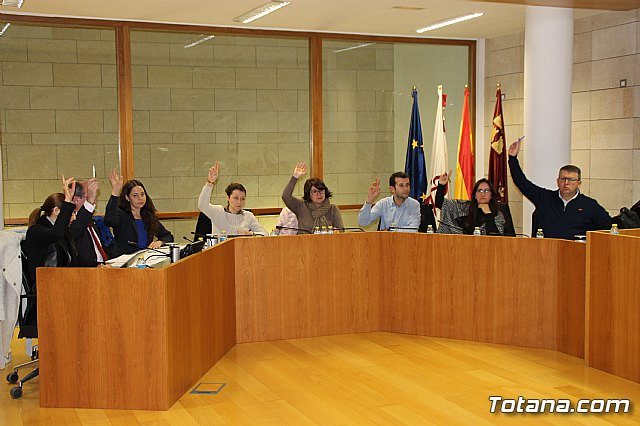 Pleno ordinario enero 2017 - 19