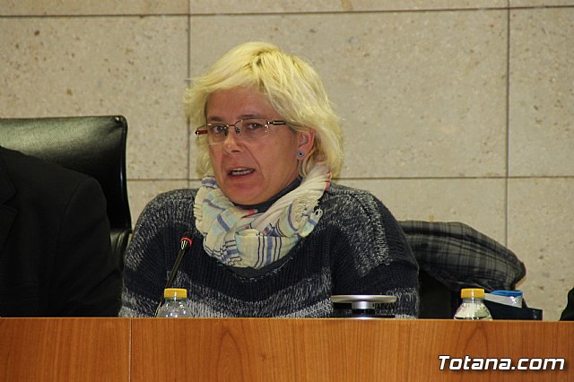 Pleno ordinario enero 2017 - 20