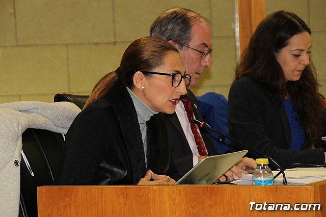 Pleno ordinario enero 2017 - 21