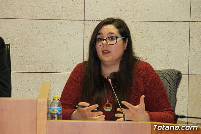 Pleno ordinario enero 2017 - 26