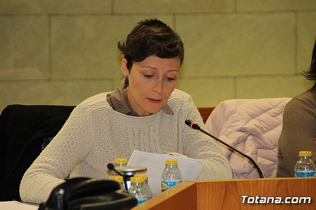 Pleno ordinario enero 2017 - 29