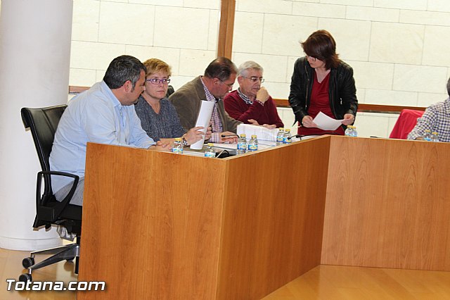 Pleno ordinario marzo 2015 - 7