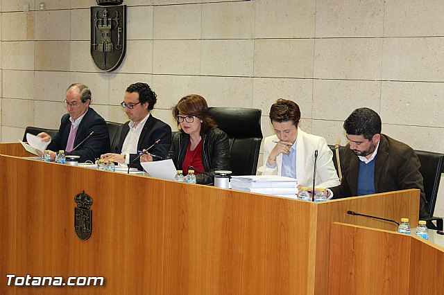 Pleno ordinario marzo 2015 - 11