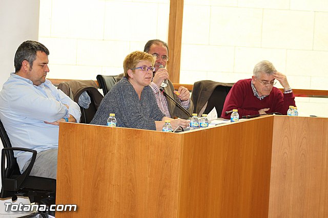 Pleno ordinario marzo 2015 - 16