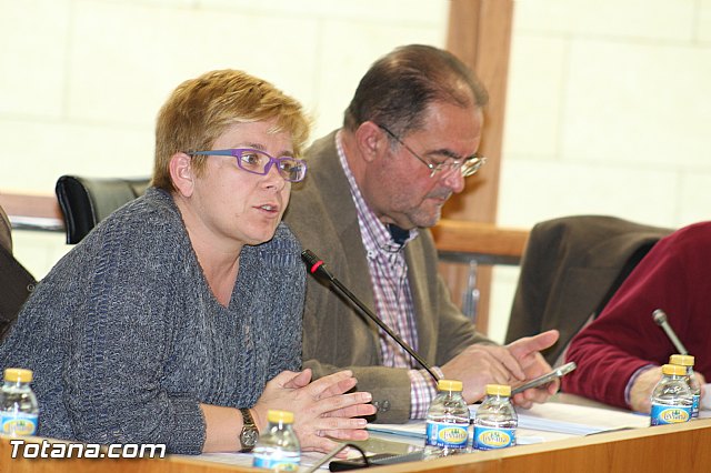 Pleno ordinario marzo 2015 - 18