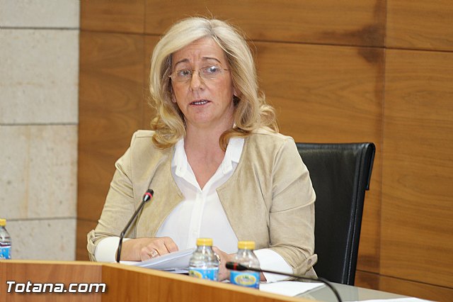 Pleno ordinario marzo 2015 - 19