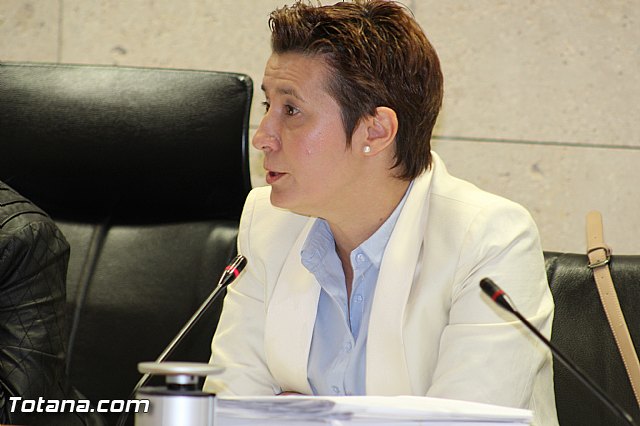 Pleno ordinario marzo 2015 - 20