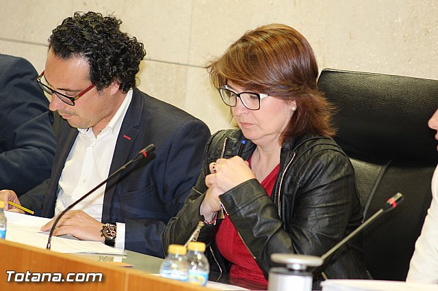 Pleno ordinario marzo 2015 - 21