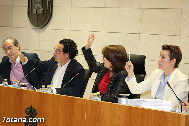 Pleno ordinario marzo 2015 - 25