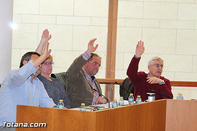 Pleno ordinario marzo 2015 - 33