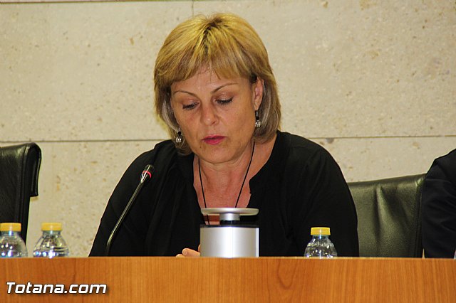 Pleno ordinario mayo 2016 - 10