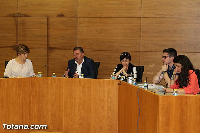 Pleno ordinario mayo 2016 - 12