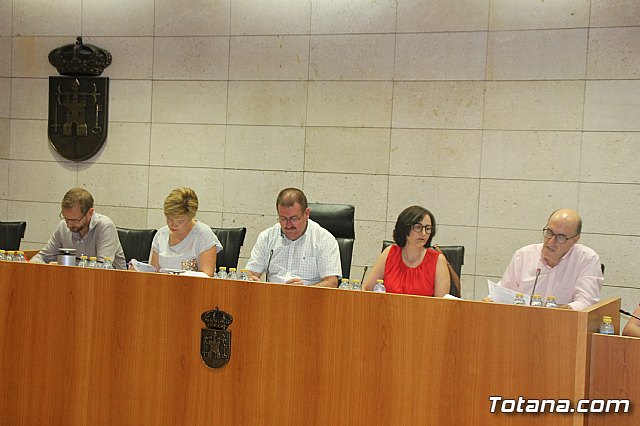Pleno ordinario Julio 2018 - 2