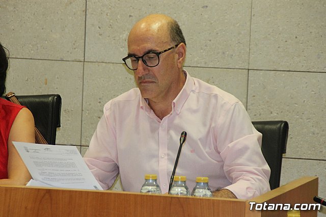 Pleno ordinario Julio 2018 - 5