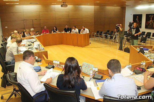 Pleno ordinario Julio 2018 - 9