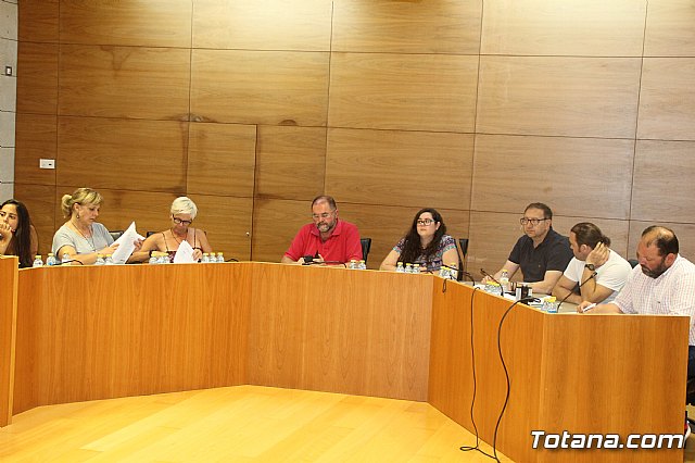 Pleno ordinario Julio 2018 - 13