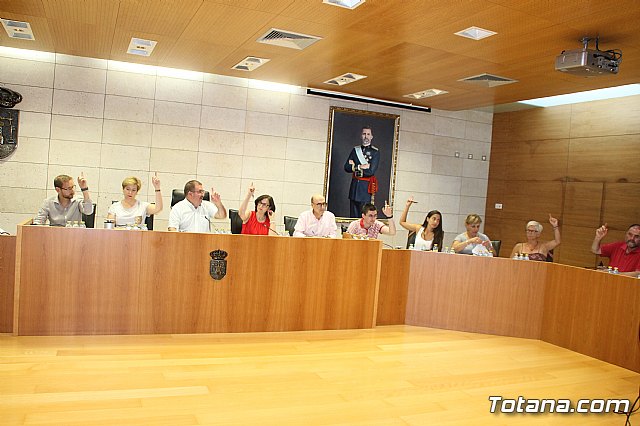 Pleno ordinario Julio 2018 - 14