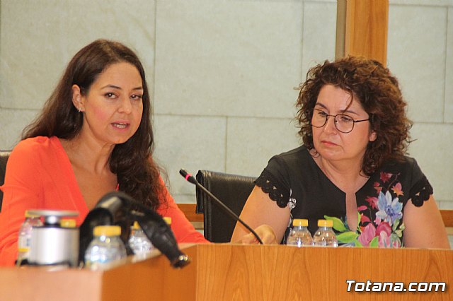 Pleno ordinario Julio 2018 - 16