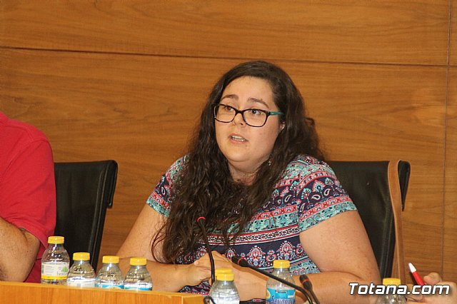 Pleno ordinario Julio 2018 - 21