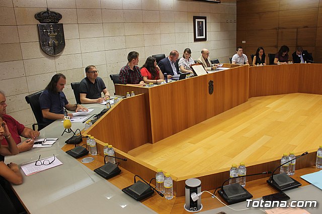 Pleno ordinario septiembre 2019 - 5