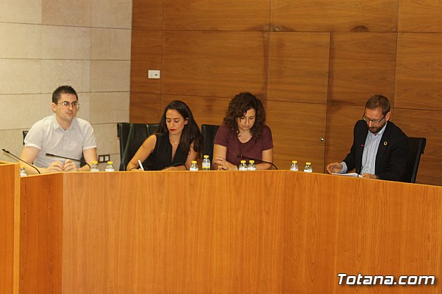 Pleno ordinario septiembre 2019 - 11