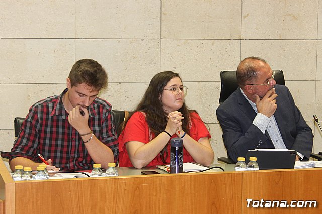 Pleno ordinario septiembre 2019 - 15