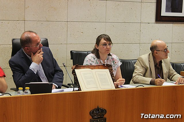 Pleno ordinario septiembre 2019 - 16