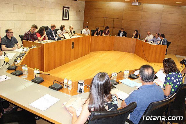 Pleno ordinario septiembre 2019 - 41