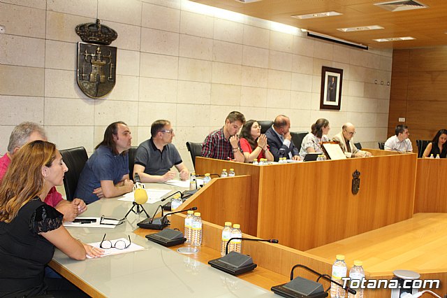 Pleno ordinario septiembre 2019 - 42