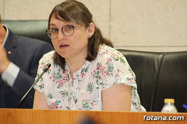 Pleno ordinario septiembre 2019 - 70