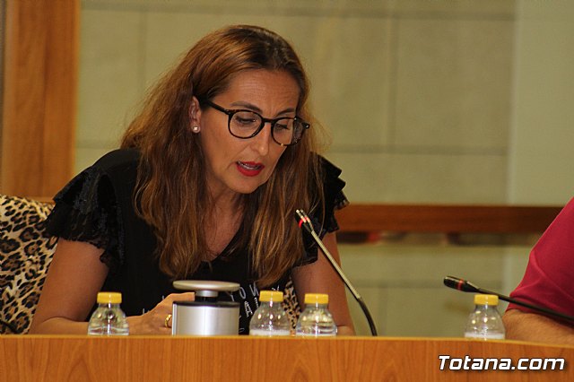 Pleno ordinario septiembre 2019 - 72