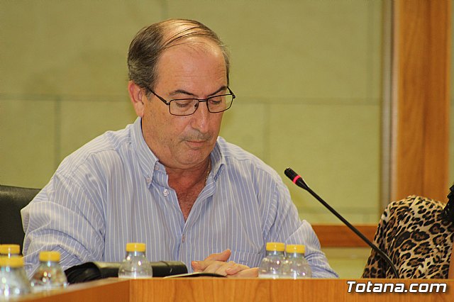 Pleno ordinario septiembre 2019 - 75