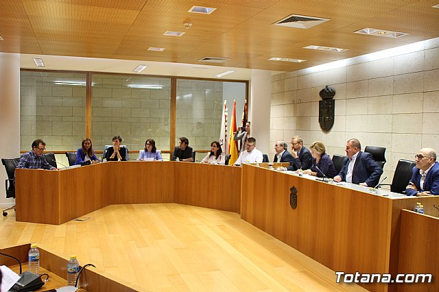 Pleno ordinario octubre 2017 - 29