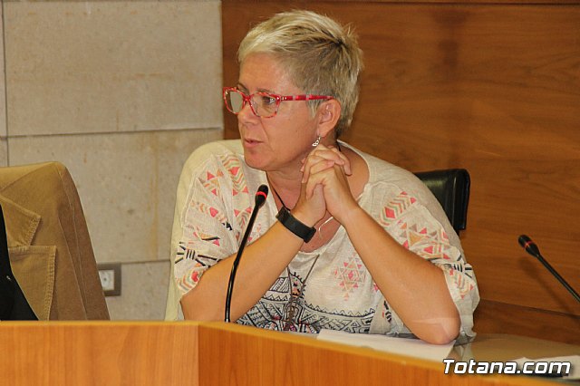 Pleno ordinario octubre 2017 - 46