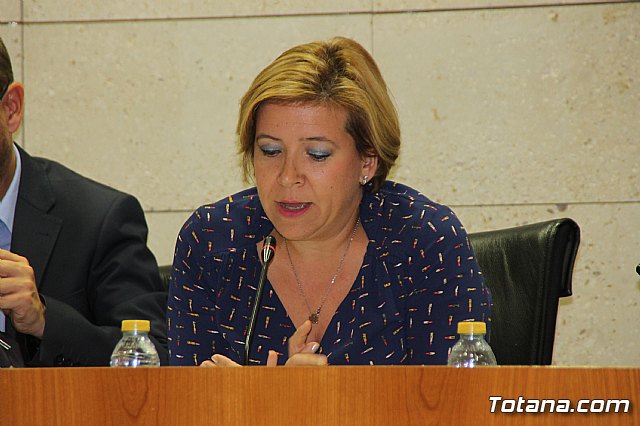 Pleno ordinario octubre 2017 - 47