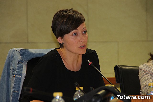 Pleno ordinario octubre 2017 - 48