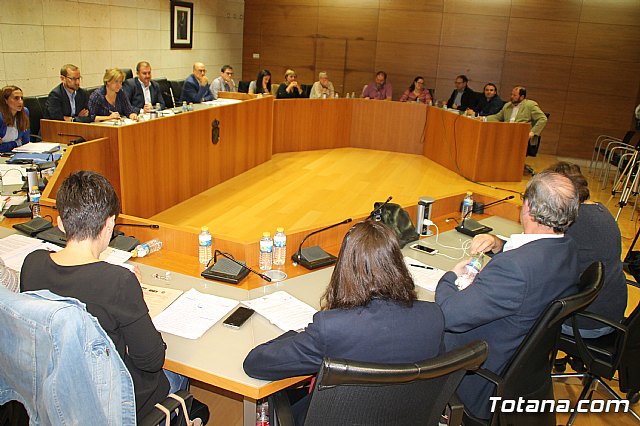 Pleno ordinario octubre 2017 - 53