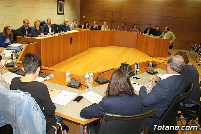 Pleno ordinario octubre 2017 - 55