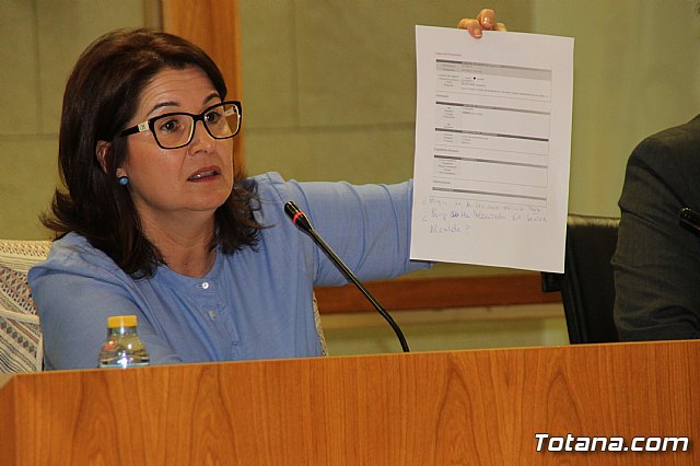 Pleno ordinario octubre 2017 - 63