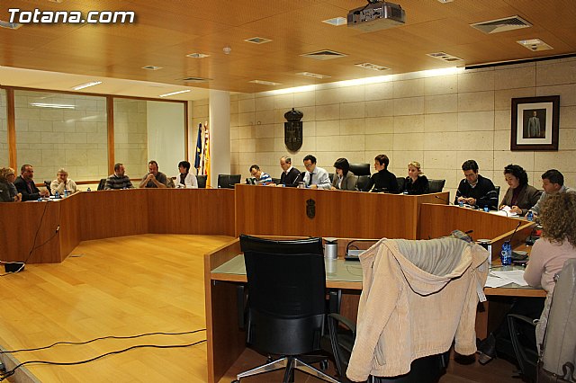 Pleno ordinario Noviembre 2012 - 2