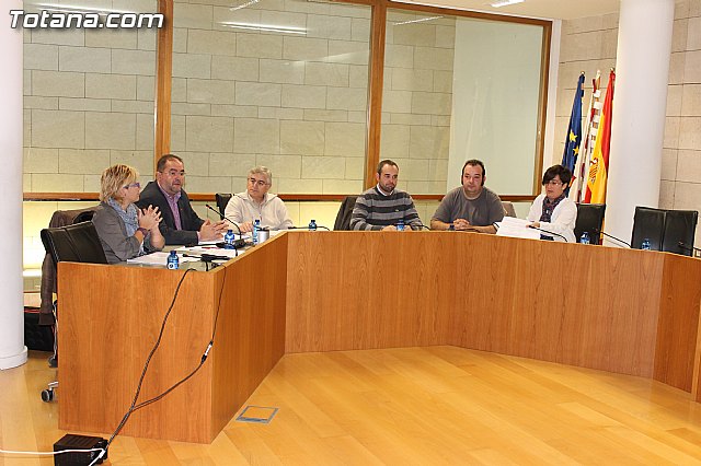 Pleno ordinario Noviembre 2012 - 4