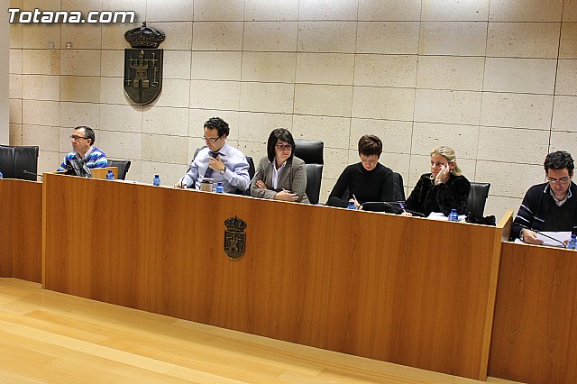 Pleno ordinario Noviembre 2012 - 5