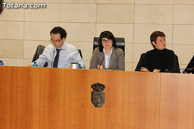 Pleno ordinario Noviembre 2012 - 7