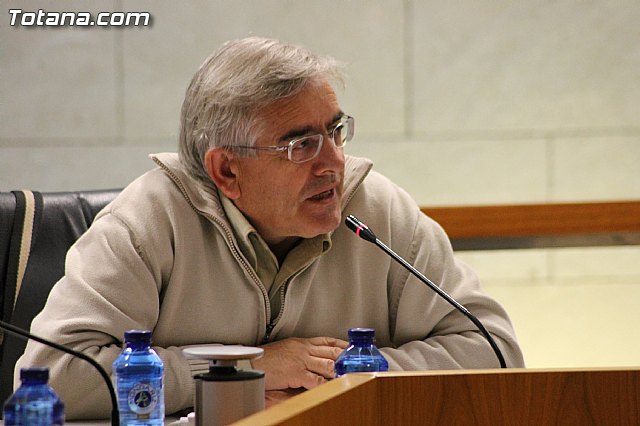 Pleno ordinario Noviembre 2012 - 11