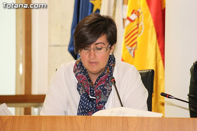 Pleno ordinario Noviembre 2012 - 19