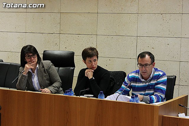 Pleno ordinario Noviembre 2012 - 21