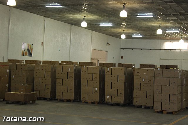 Visita del PP a Huevos Inmaculada - 20