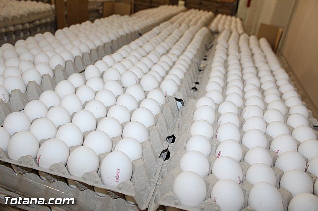 Visita del PP a Huevos Inmaculada - 33