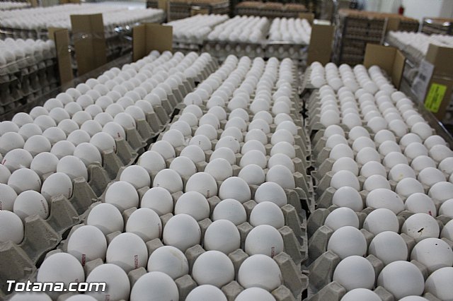 Visita del PP a Huevos Inmaculada - 36