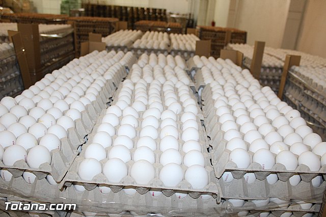 Visita del PP a Huevos Inmaculada - 40